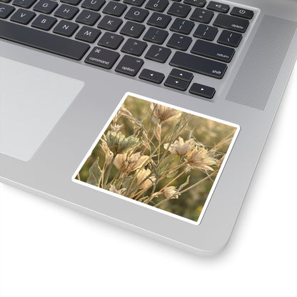 Dried Flowers Summer Sticker | Japandi Elegant Design Art Print
