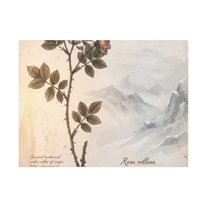 Winter Mountain Mist Herbarium Canvas Art | Earthy Decor