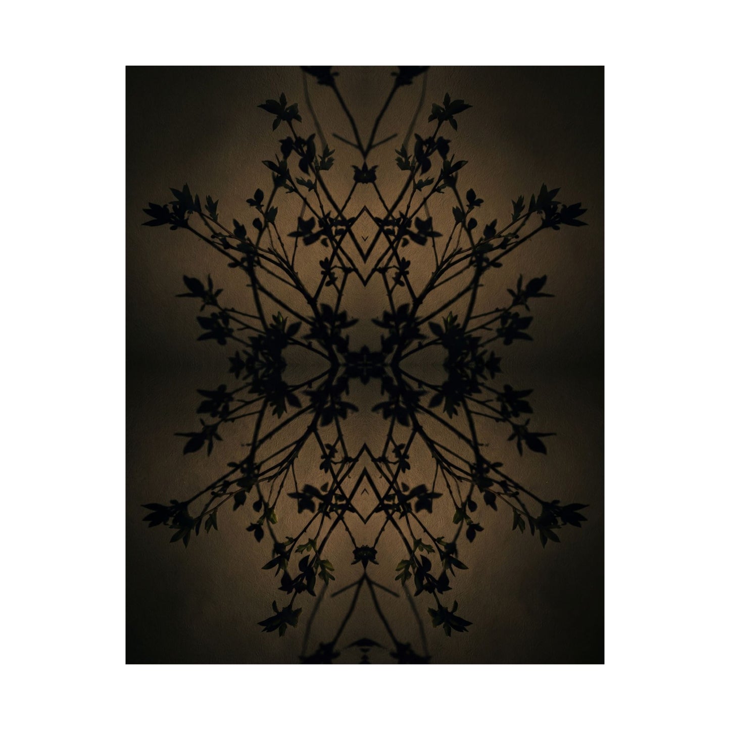 Shadow Play Wall Art Print | Spring Dark Japandi Shadow Zen Art