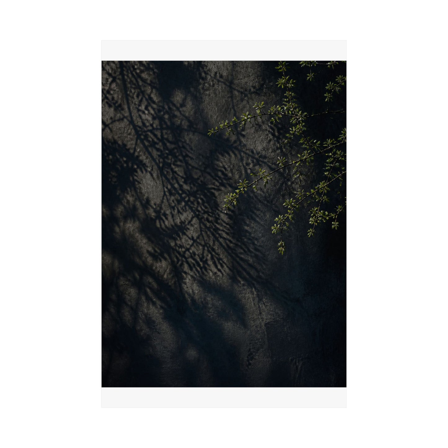 Dark Japandi Shadow Play in Overcast | Moody Minimal Wall Art Print