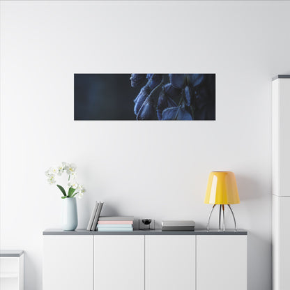 Winter Wisteria Shadow Zen Canvas Art | Atmospheric Decor