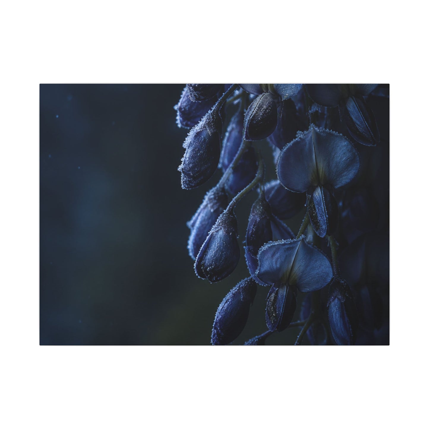 Winter Wisteria Shadow Zen Canvas Art | Atmospheric Decor
