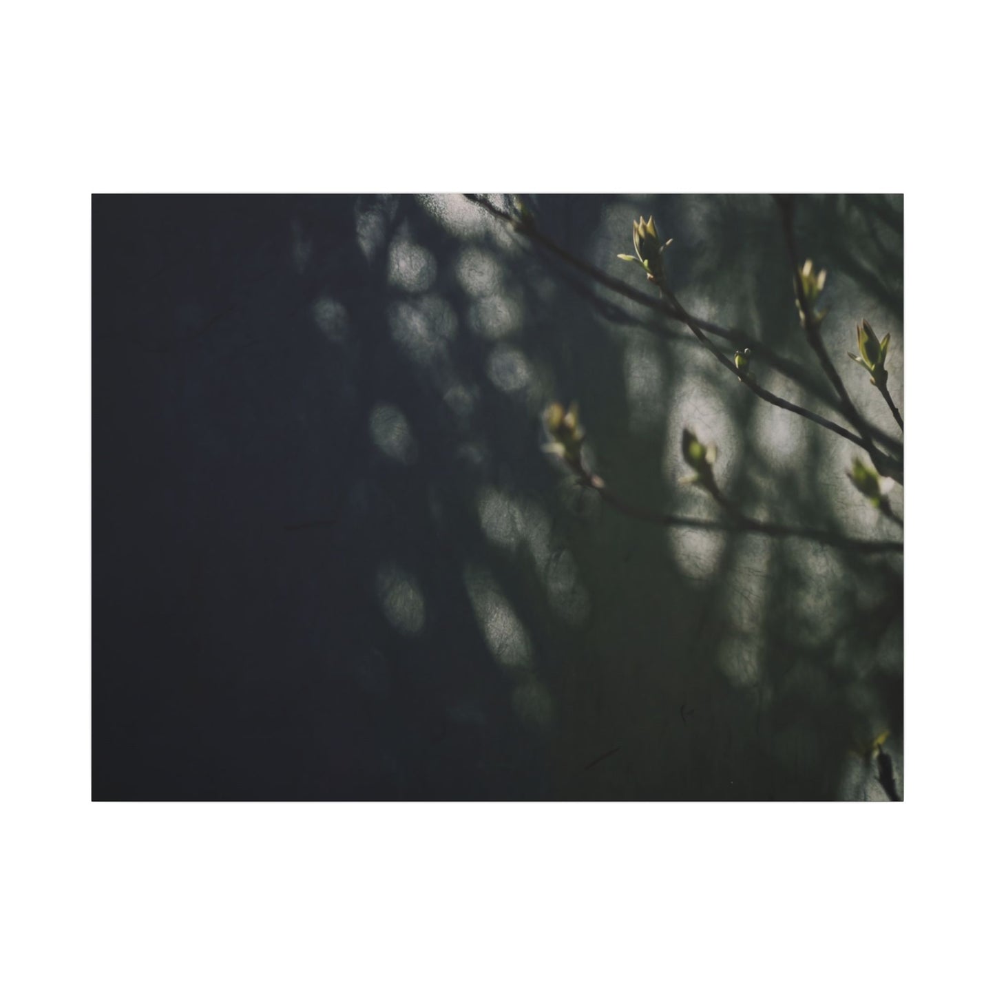 Dark Japandi Shoji Screen in Dappled | Moody Minimal Canvas Art Art Print