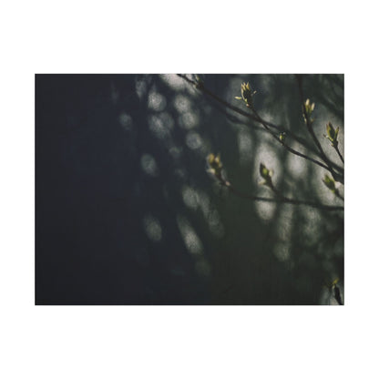 Dark Japandi Shoji Screen in Dappled | Moody Minimal Canvas Art Art Print
