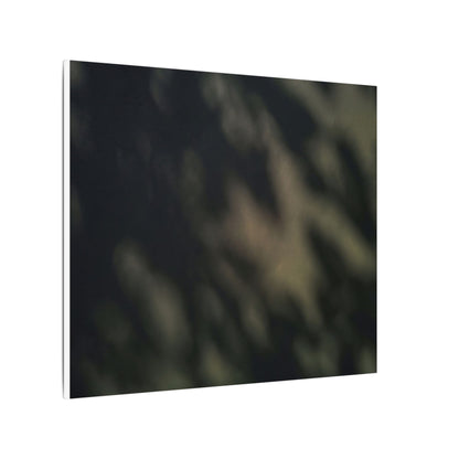 Dappled Shadow Play Canvas Art - Dark Japandi Ma