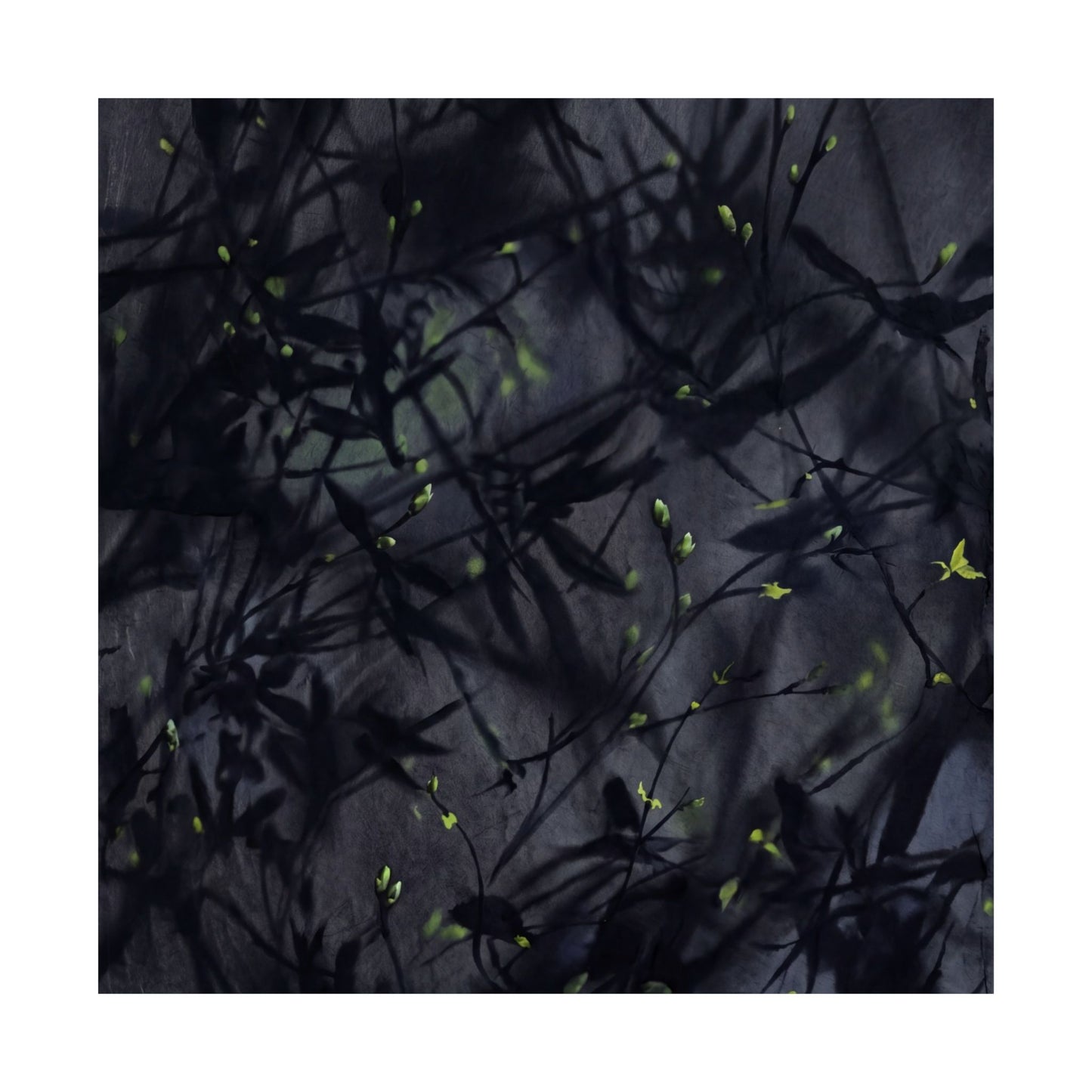 Atmospheric Shadow Play Wall Art Print - Shadow Zen Dark Japandi