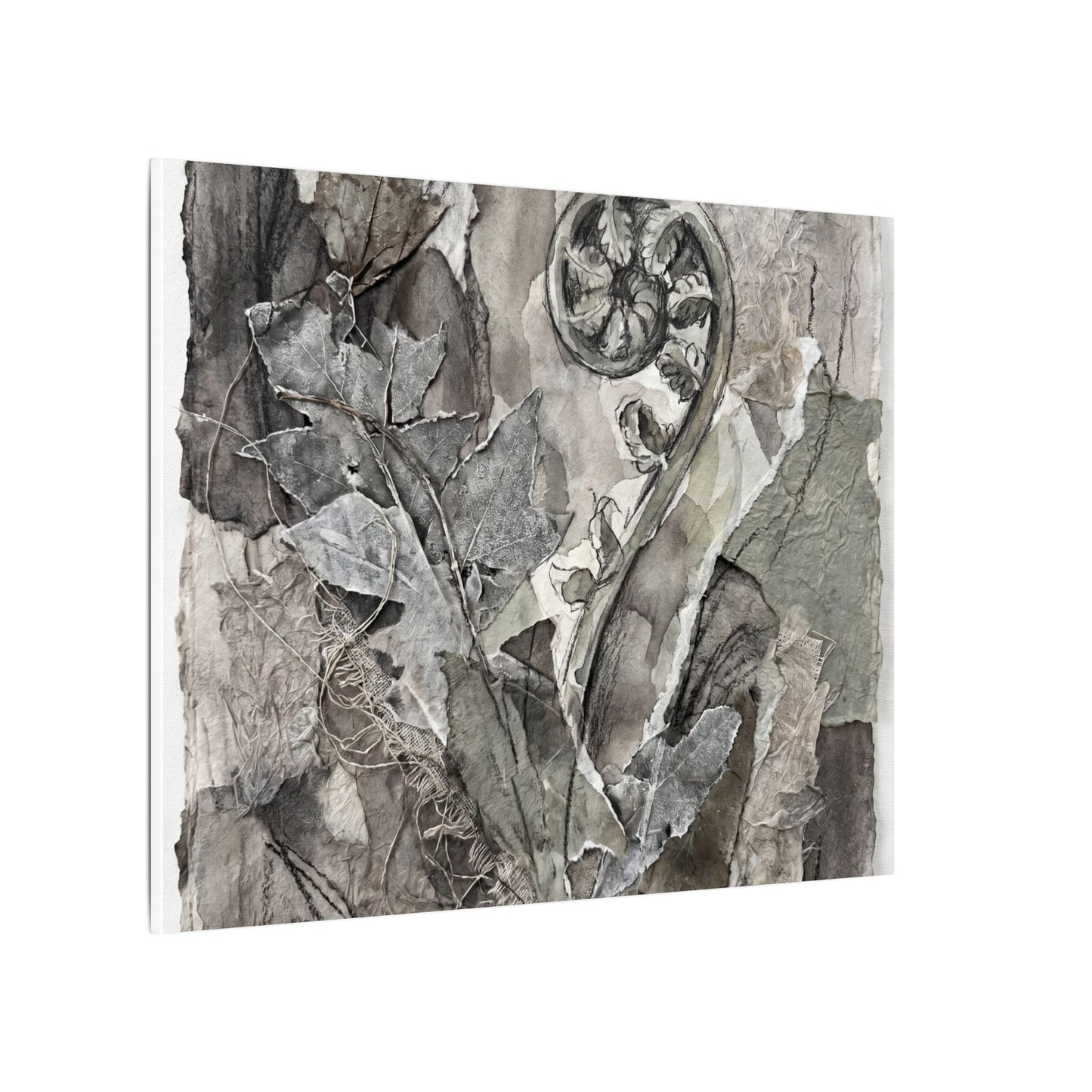 Japandi Fern Unfurling in Overcast | Texture Canvas Art