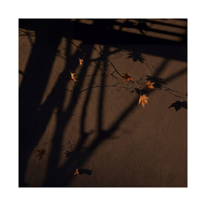 Autumn Shadow Play Shadow Zen Wall Art Print | Sophisticated Decor