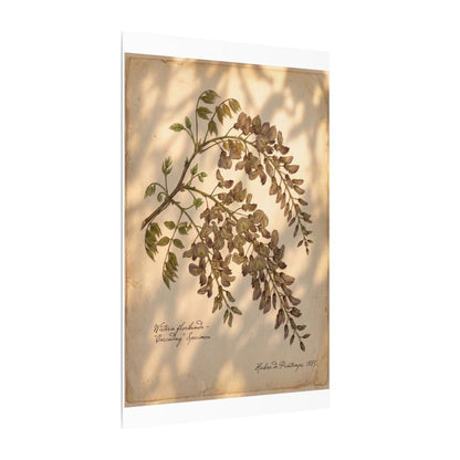 Spring Wisteria Herbarium Canvas Art | Earthy Decor