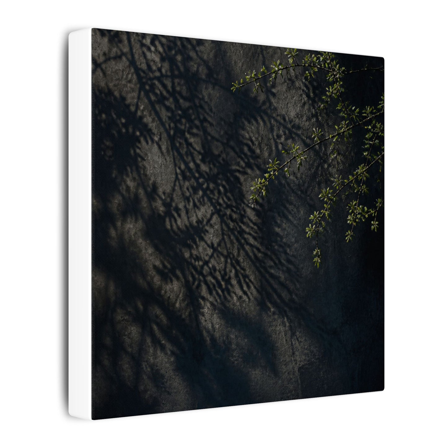 Overcast Shadow Play Canvas Art - Dark Japandi Seijaku