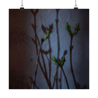 Spring Shadow Play Shadow Zen Wall Art Print | Moody Decor