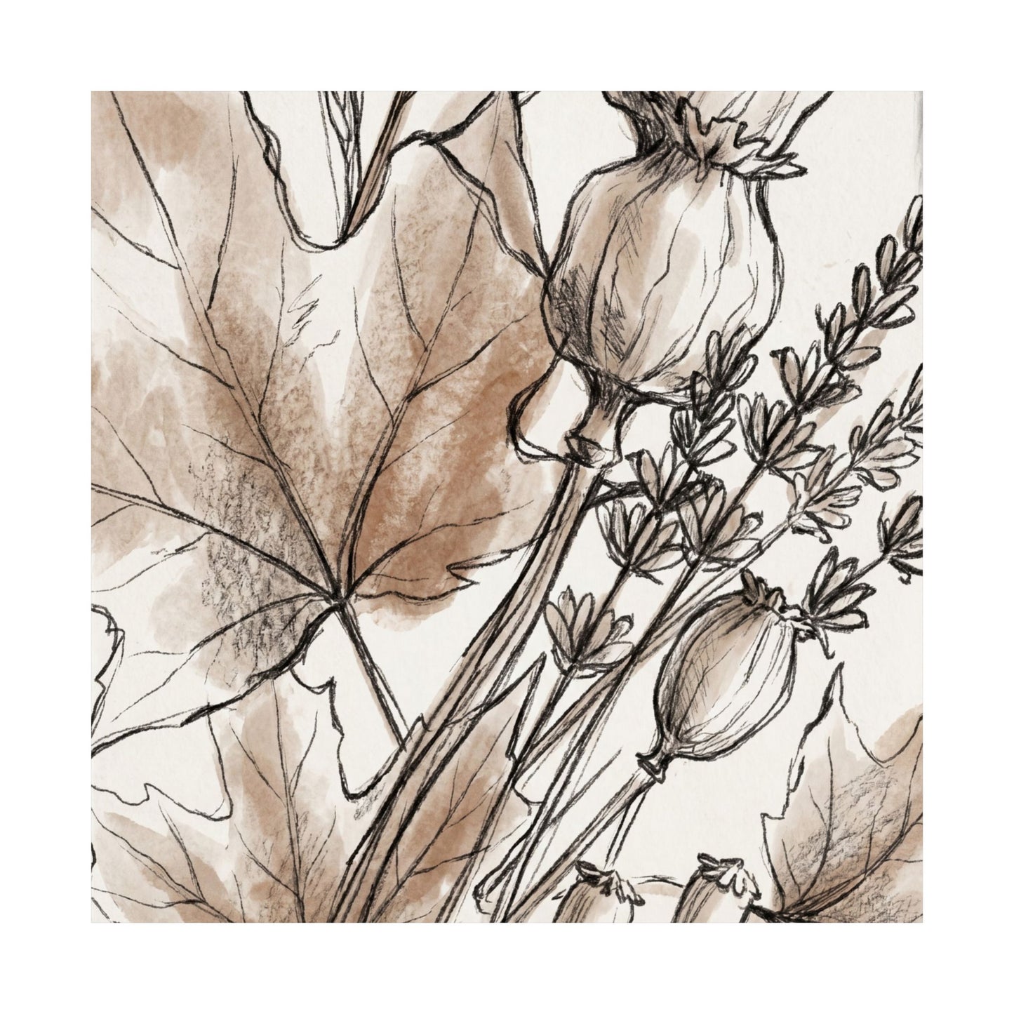 Dried Flowers Minimal Line Wall Art Print | Neutral Japandi Art