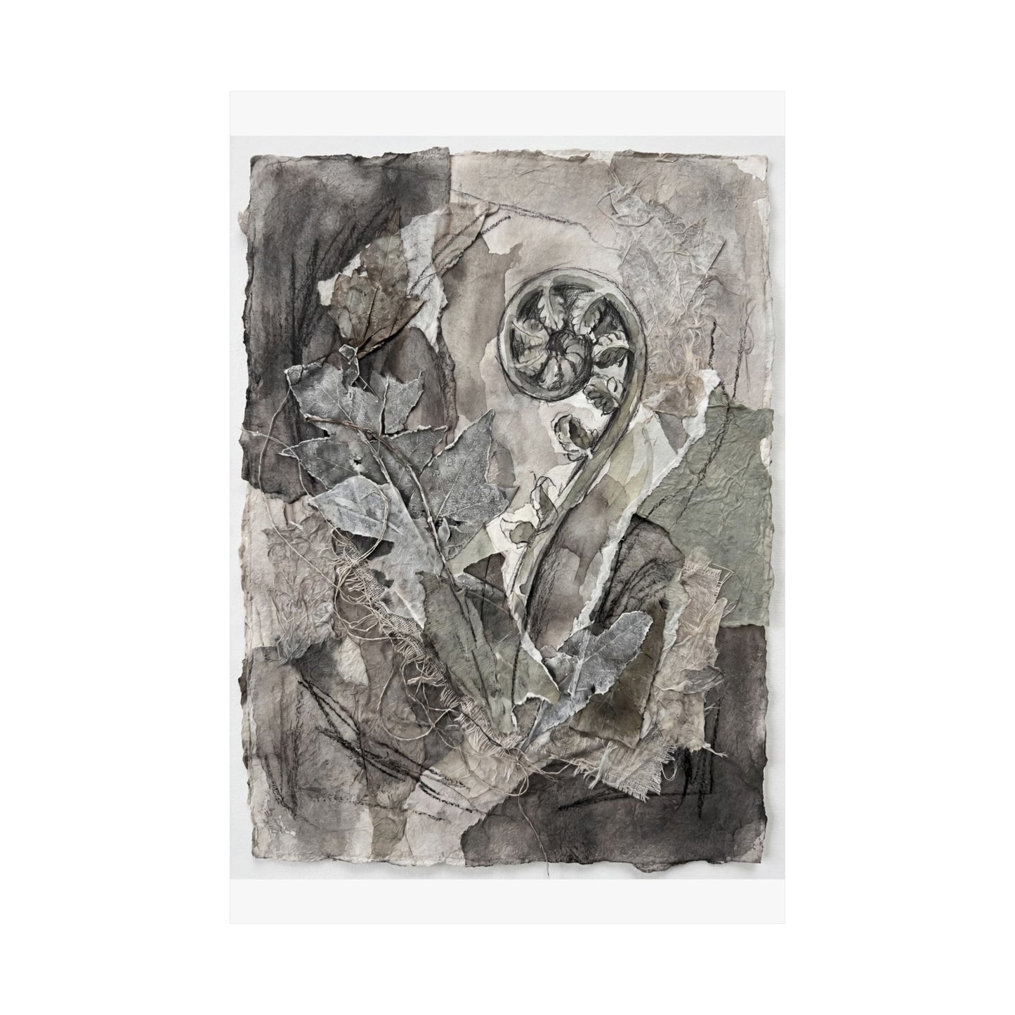 Mono No Aware Fern Unfurling Wall Art Print - Japandi Texture