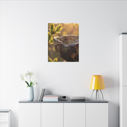 Golden Hour Ceramic Bowl Canvas Art - Dark Japandi Ma