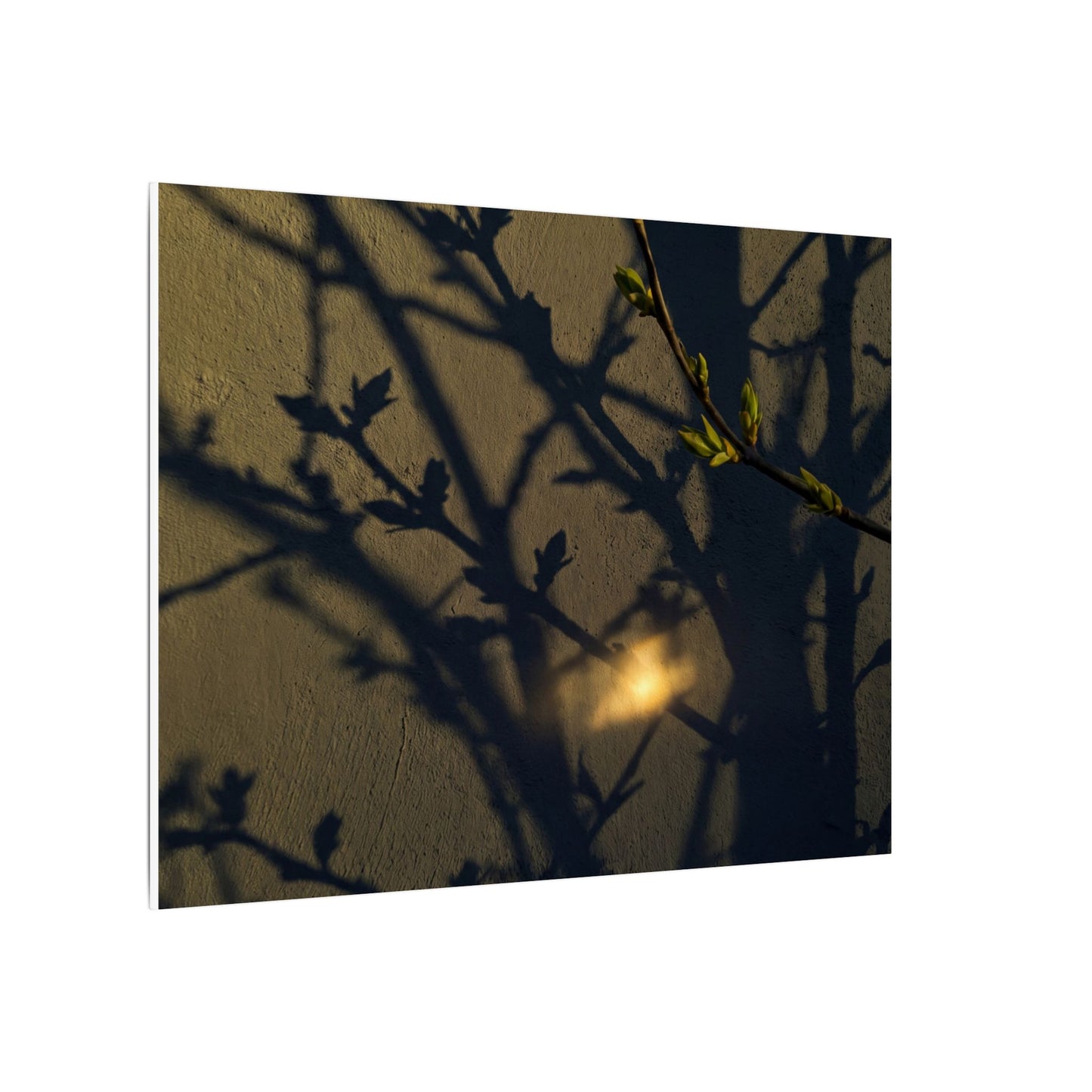 Bold Shadow Play Canvas Art - Moody Minimal Dark Japandi