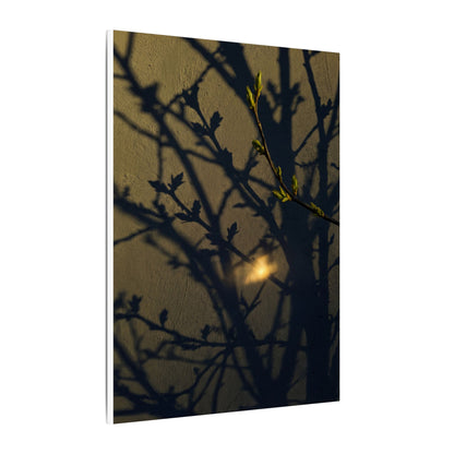 Bold Shadow Play Canvas Art - Moody Minimal Dark Japandi