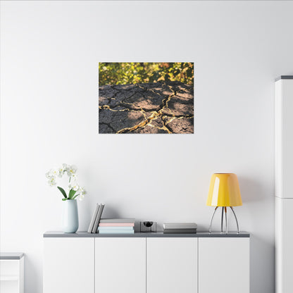 Shibui Cracked Earth Canvas Art - Kintsugi Gold Repair