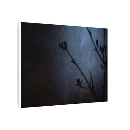Shadow Play Canvas Art | Spring Dark Japandi Moody Minimal Art