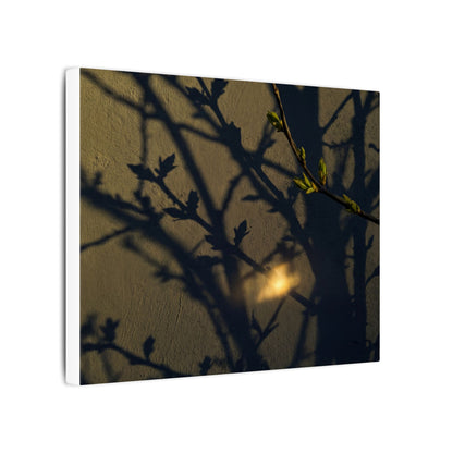 Bold Shadow Play Canvas Art - Moody Minimal Dark Japandi