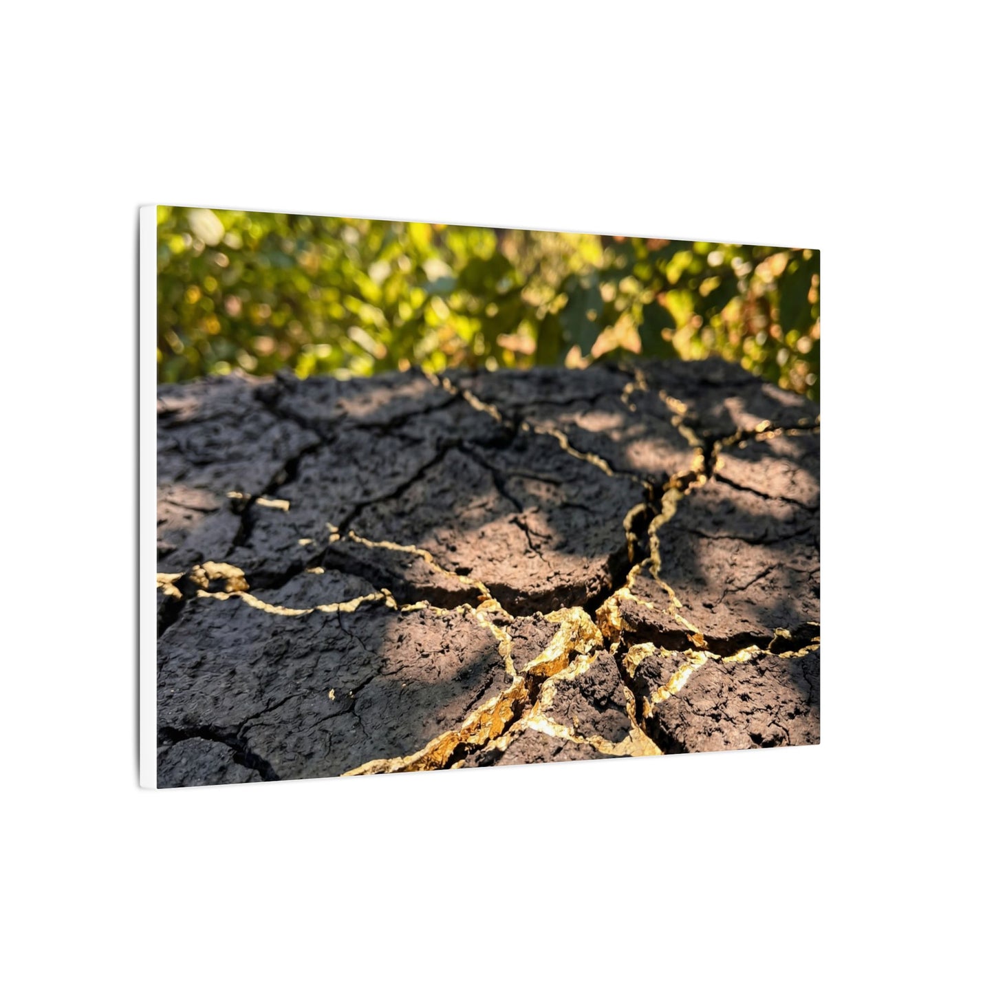 Shibui Cracked Earth Canvas Art - Kintsugi Gold Repair