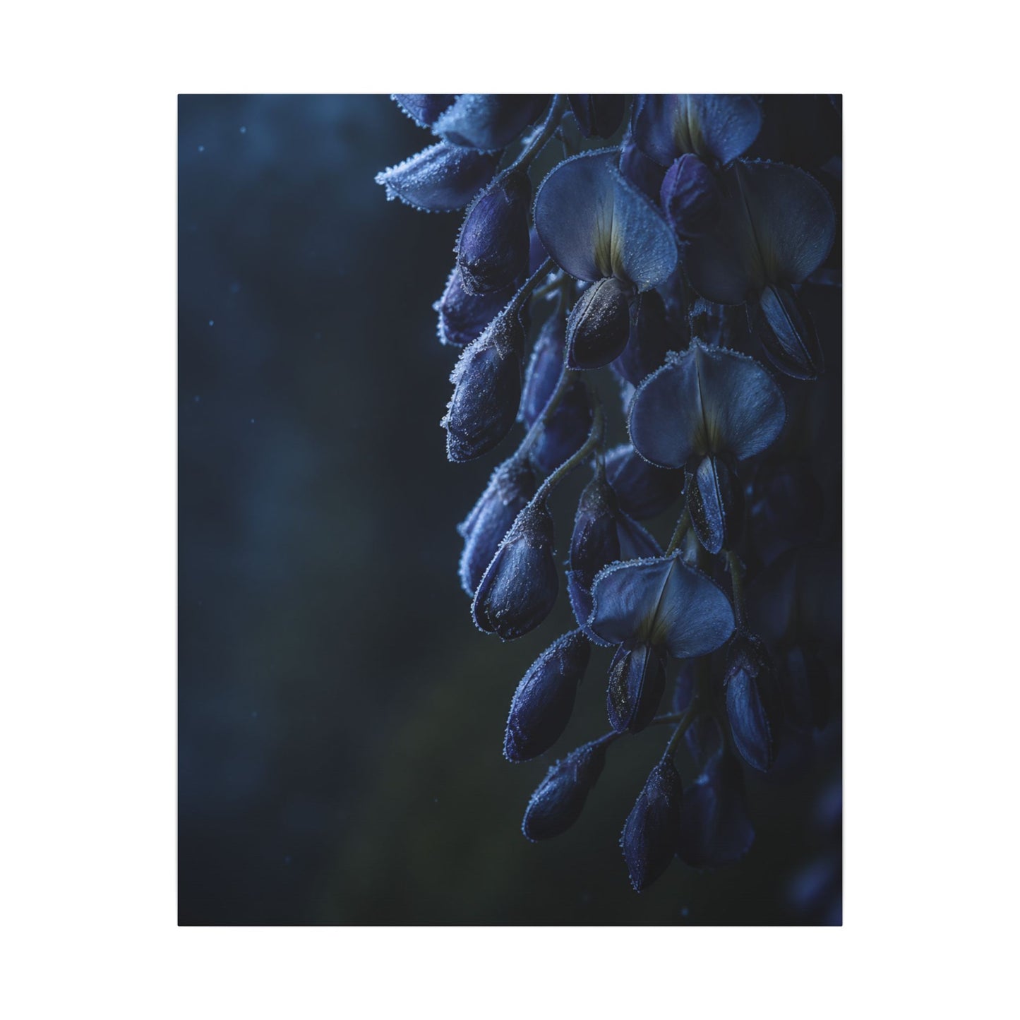 Winter Wisteria Shadow Zen Canvas Art | Atmospheric Decor