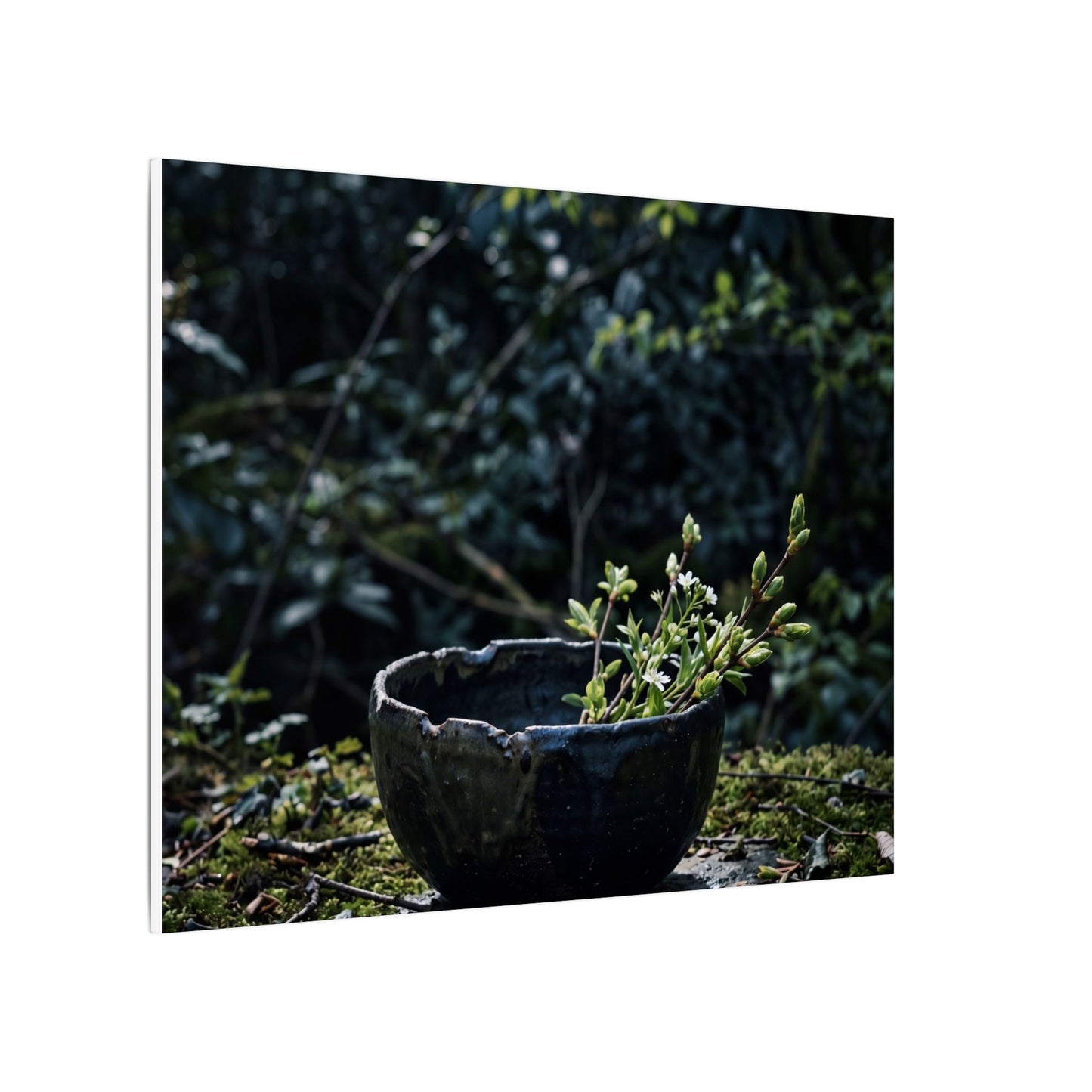 Dappled Ceramic Bowl Canvas Art - Dark Japandi Datsuzoku