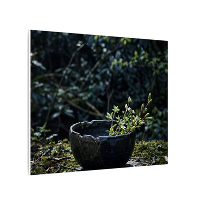 Dappled Ceramic Bowl Canvas Art - Dark Japandi Datsuzoku
