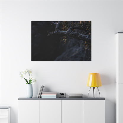 Pine Tree Moody Minimal Canvas Art | Sophisticated Dark Japandi Art