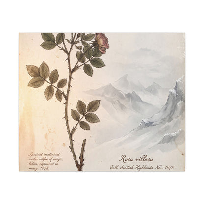 Winter Mountain Mist Herbarium Canvas Art | Earthy Decor