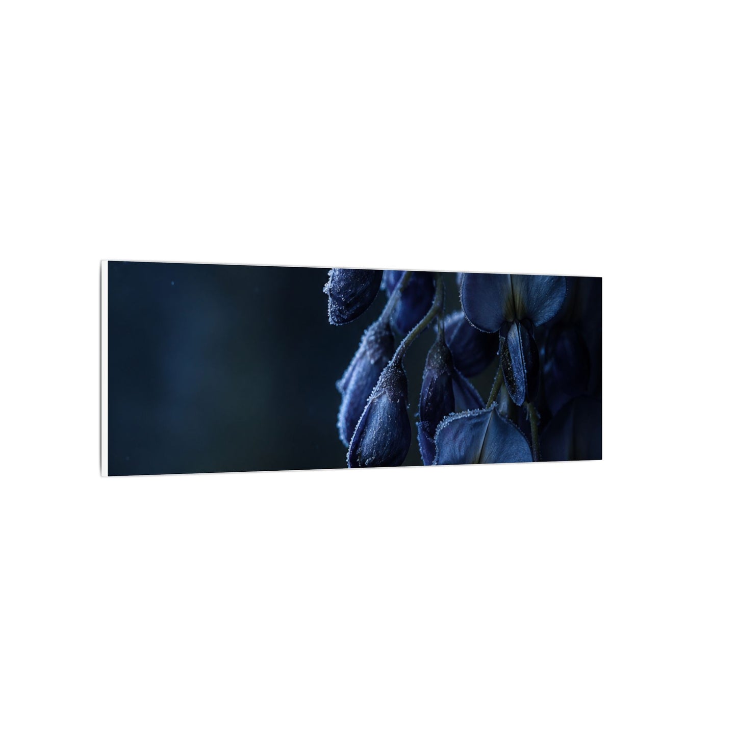 Winter Wisteria Shadow Zen Canvas Art | Atmospheric Decor