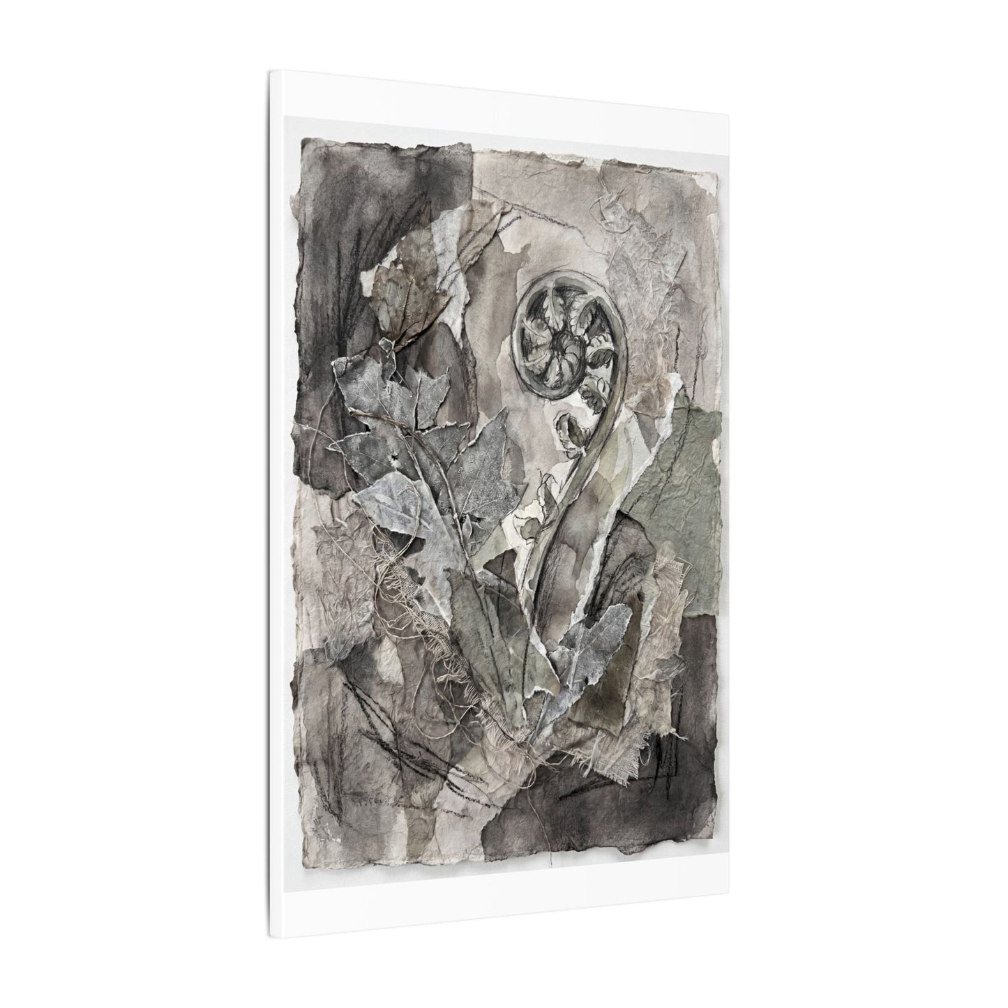 Japandi Fern Unfurling in Overcast | Texture Canvas Art
