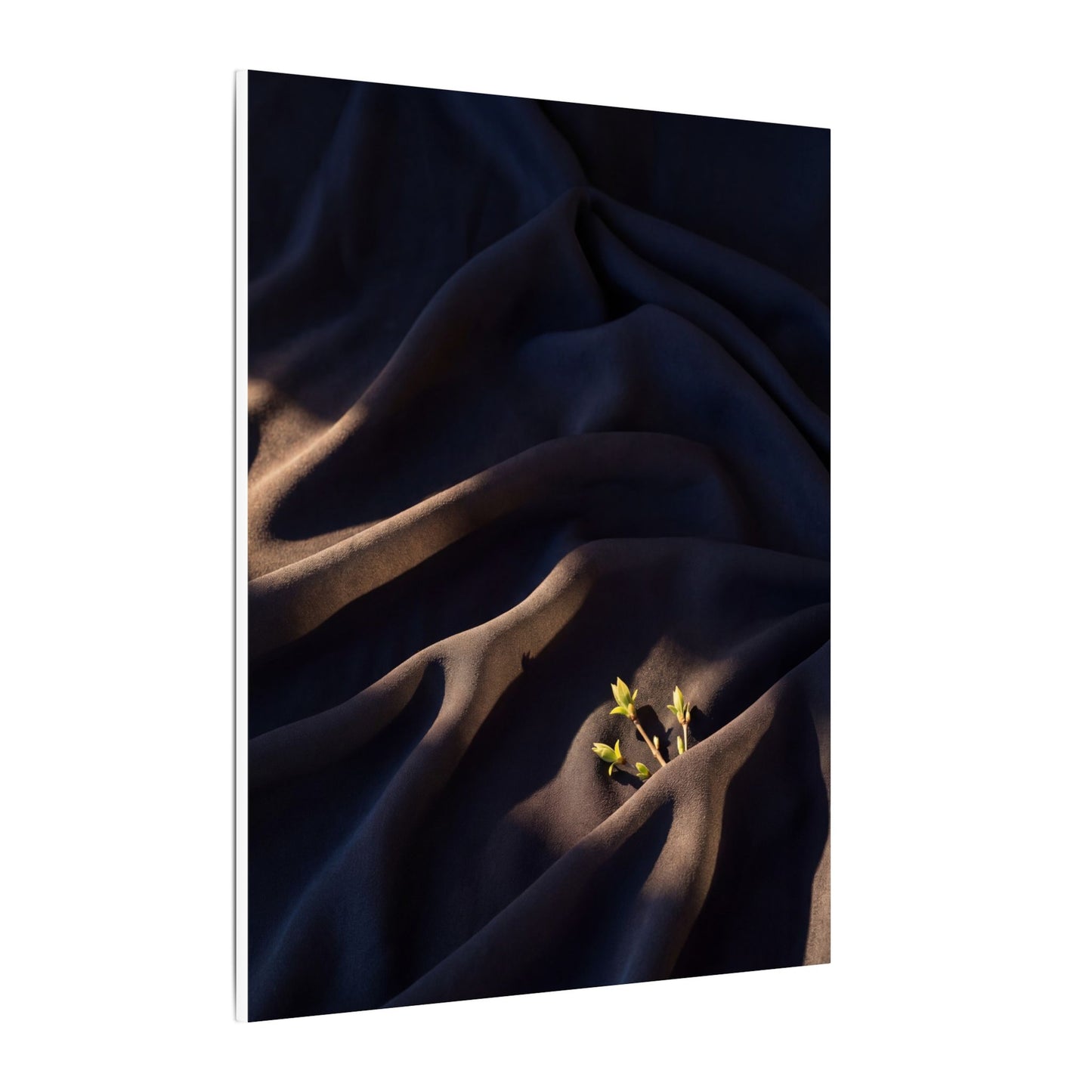 Silk Drape Shadow Zen Canvas Art | Luxurious Dark Japandi Art