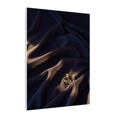 Silk Drape Shadow Zen Canvas Art | Luxurious Dark Japandi Art