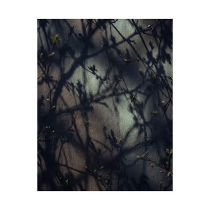 Spring Shadow Play Moody Minimal Wall Art Print | Sophisticated Decor