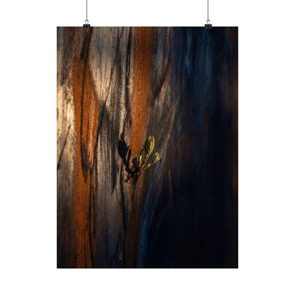Rust Patina Spring Wall Art Print | Dark Japandi Sophisticated Design Art Print
