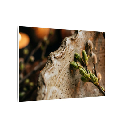 Overcast Ceramic Bowl Canvas Art - Japandi Ma