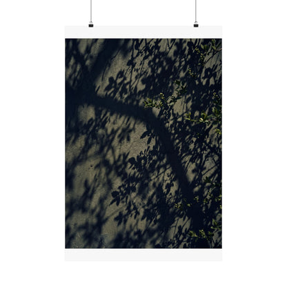 Shadow Play Moody Minimal Wall Art Print | Atmospheric Dark Japandi Art