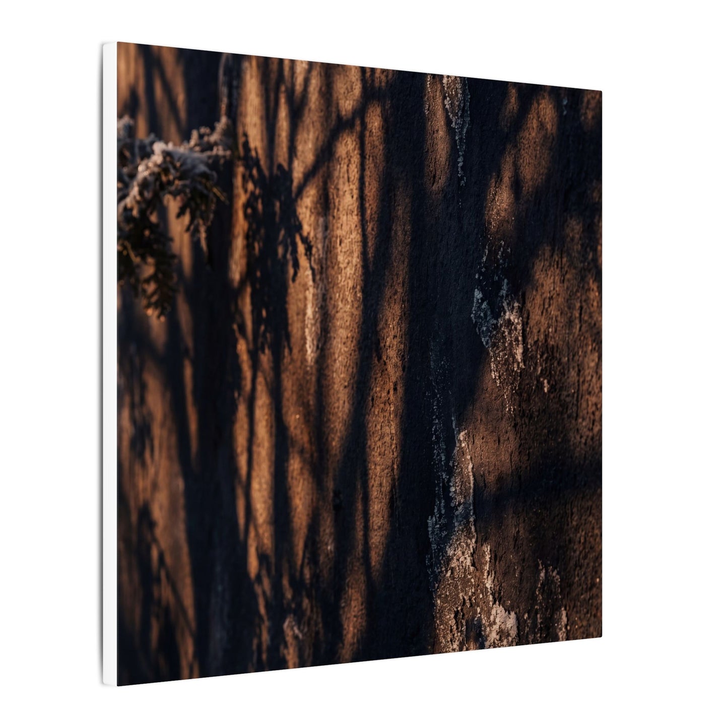 Golden Hour Shadow Play Canvas Art - Dark Japandi Fukinsei