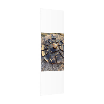 Golden Hour Broken Pottery Canvas Art - Kintsugi Datsuzoku