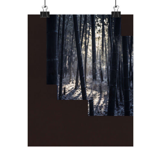 Ma Bamboo Grove Wall Art Print - Dark Japandi Moody Minimal