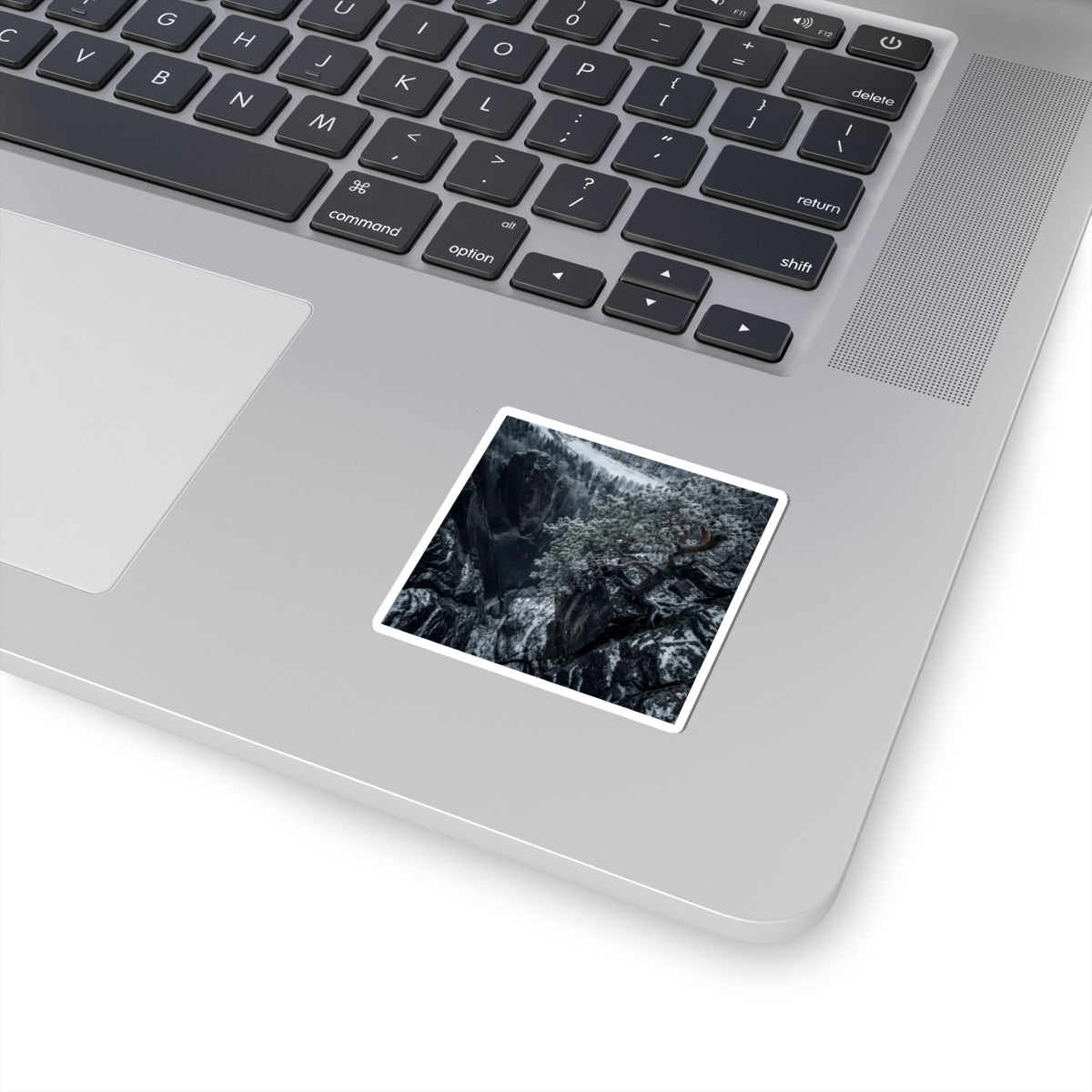 Dappled Pine Tree Sticker - Dark Japandi Seijaku