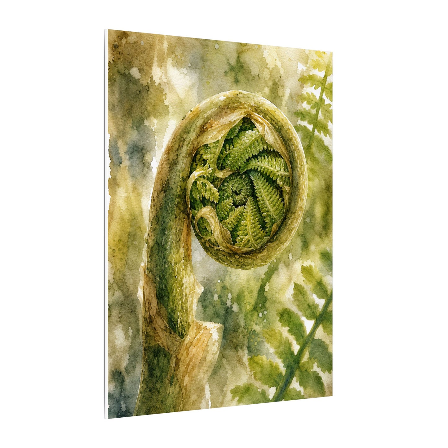 Japandi Fern Unfurling in Dappled | Watercolor Canvas Art