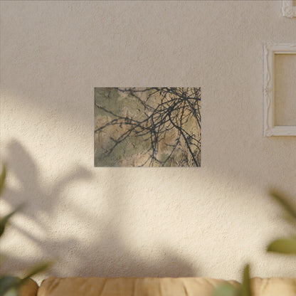 Japandi Shadow Play in Golden Hour | Texture Canvas Art