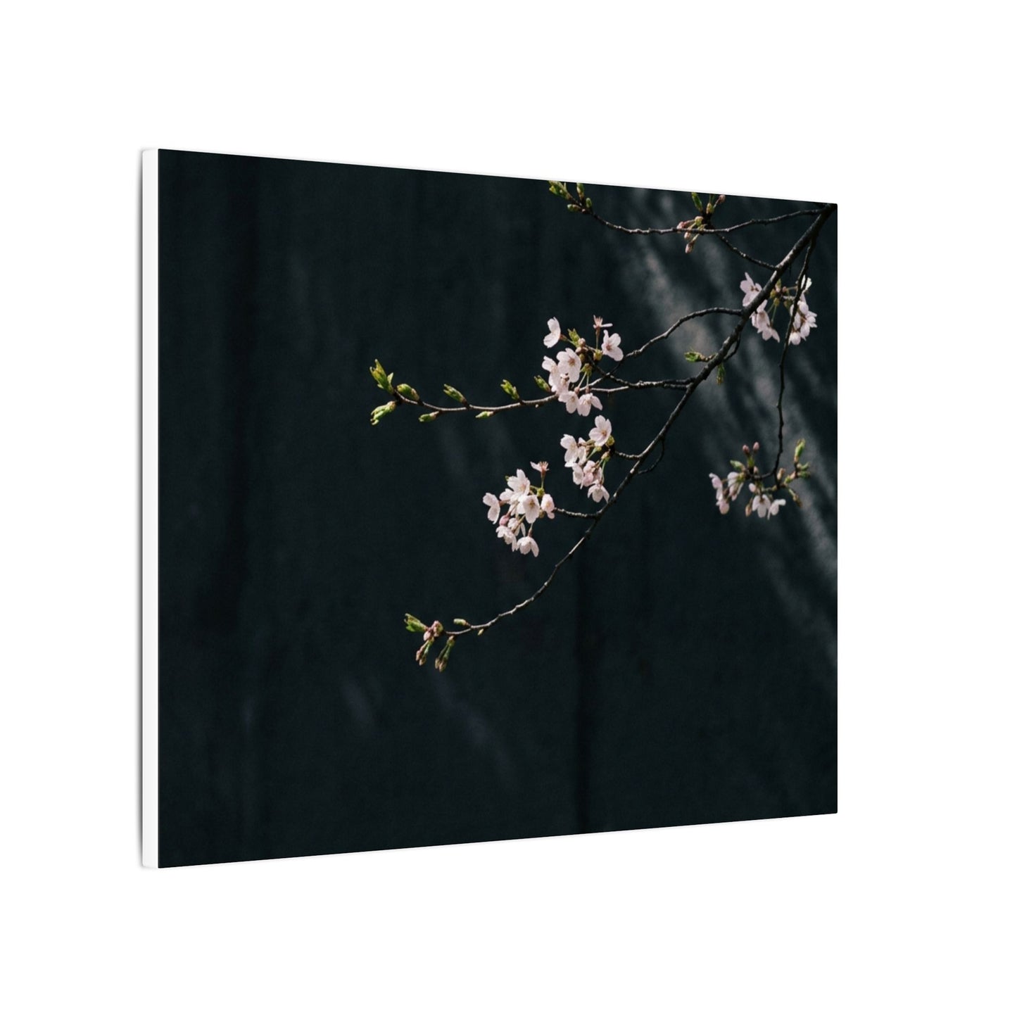 Cherry Blossom Spring Canvas Art | Dark Japandi Sophisticated Design
