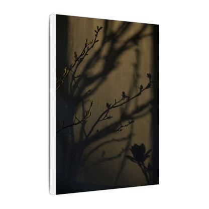 Seijaku Shadow Play Canvas Art - Dark Japandi Charcoal Ink