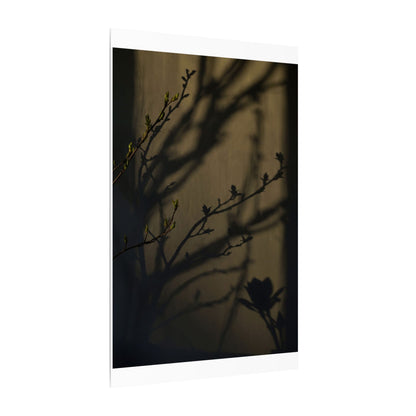 Seijaku Shadow Play Canvas Art - Dark Japandi Charcoal Ink