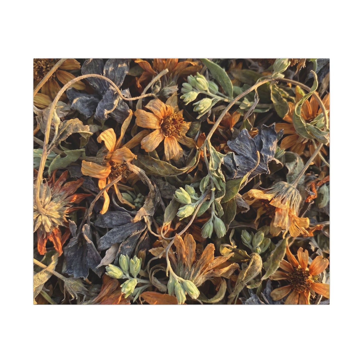 Spring Dried Flowers Japanese Pattern Canvas Art | Warm Decor