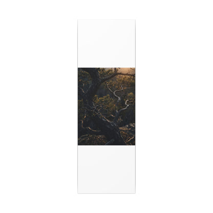 Moody Pine Tree Canvas Art - Moody Minimal Dark Japandi