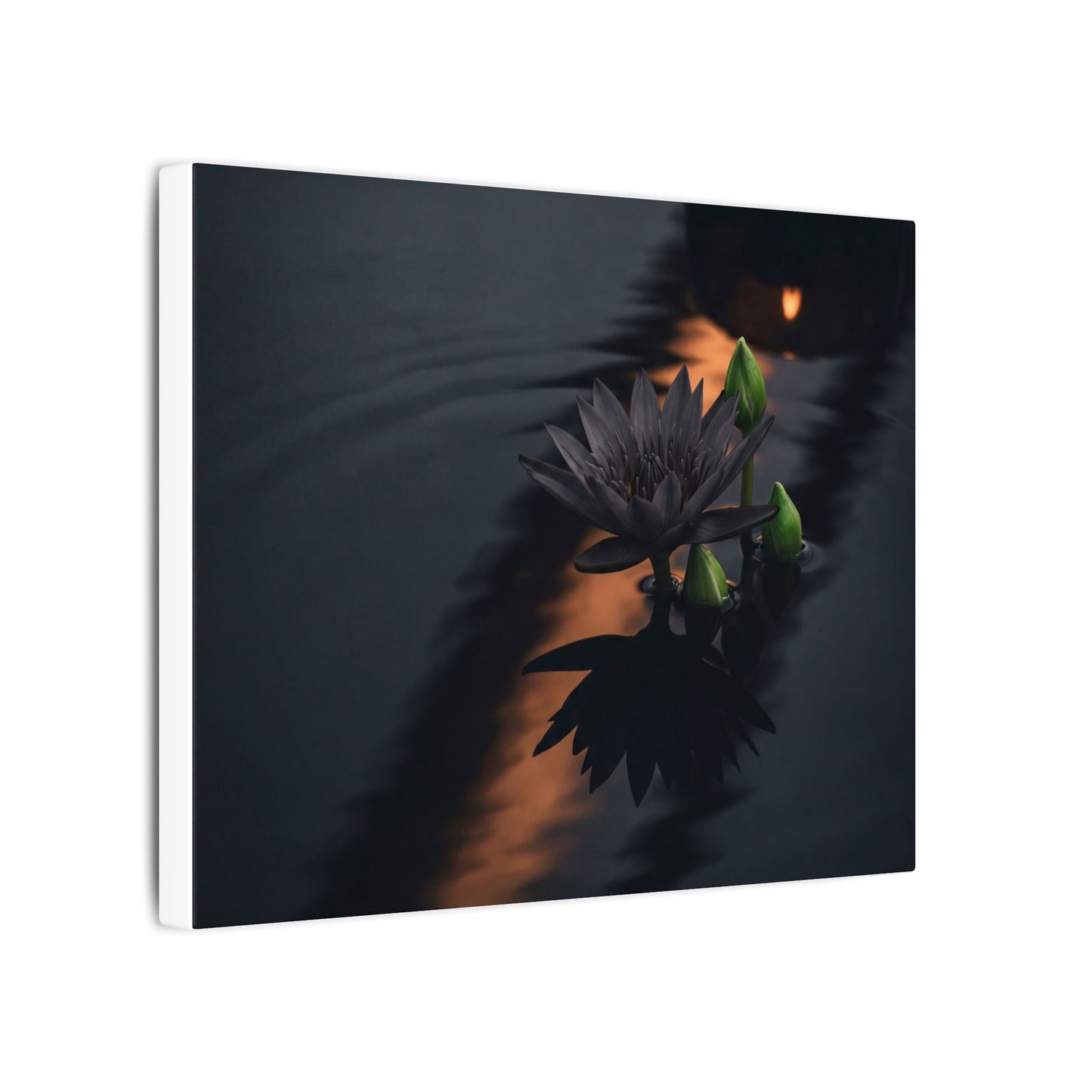 Seijaku Lotus Flower Canvas Art - Dark Japandi Shadow Zen