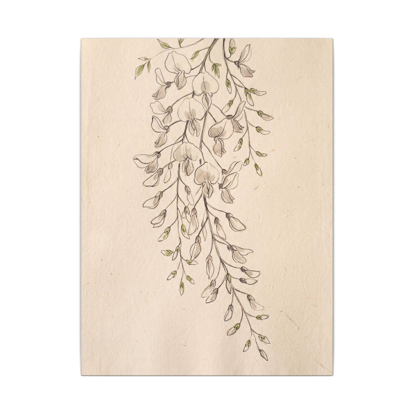 Japandi Wisteria in Golden Hour | Minimal Line Canvas Art